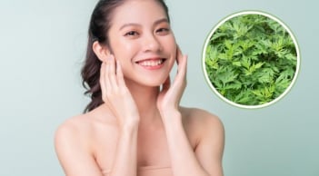 Vì sao ngải cứu được nhiều người sử dụng để chăm sóc da?