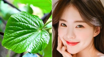 Lá lốt có thực sự giúp cải thiện mụn? Những cách chăm sóc da đơn giản từ nguyên liệu quen thuộc