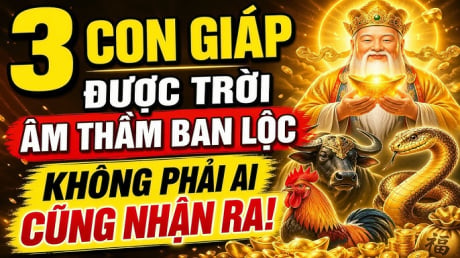 3 Shbet888.com nhà cái uy tín khéo lo cả đời no ấm, 1 tuổi Tiền chảy về đều
