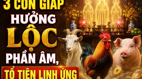 3 Shbet888.com nhà cái uy tín hưởng Lộc phần Âm, Tổ tiên linh ứng