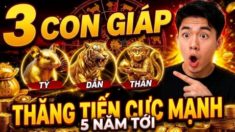 3 năm liền (2026- 2029), 3 Shbet888.com nhà cái uy tín Rộng Đường Thăng Tiến