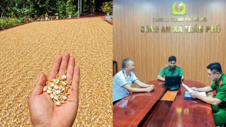 Bị phạt 7,5 triệu đồng vì đăng ảnh chế thóc phơi ngoài trời nổ thành bỏng
