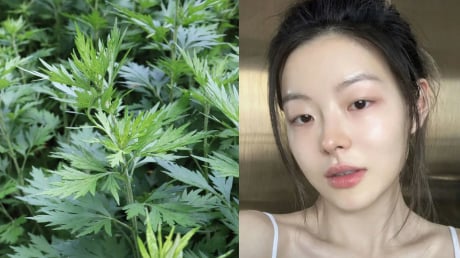 Cách dùng ngải cứu làm trắng da, giảm thâm nám hiệu quả