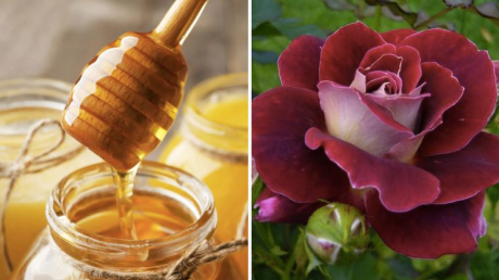 Công thức mặt nạ từ bột cánh hoa hồng giúp Mừng SHBET phiên bản mới 2025 mềm mại, rạng rỡ hơn