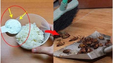 Vì sao nên trộn bột giặt với cơm nguội?