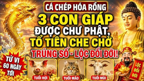 3 Shbet888.com nhà cái uy tín thoát nạn hóa Rồng, chư Phật độ cho từ 7/7 đến 13/7