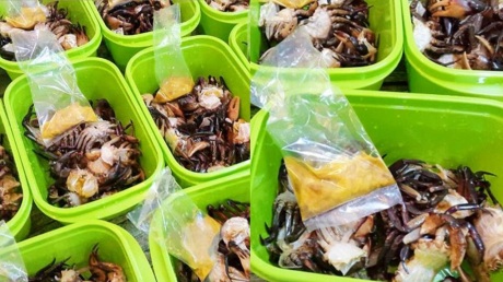 Cách cấp đông cua để nấu canh suốt mùa hè, lúc nào cũng tươi ngon
