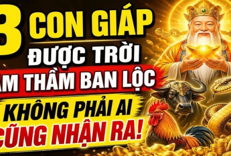 3 Shbet888.com nhà cái uy tín khéo lo cả đời no ấm, 1 tuổi Tiền chảy về đều