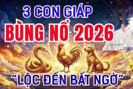 Có công ắt được Lộc, 3 Shbet888.com nhà cái uy tín phú quý về đầy tay