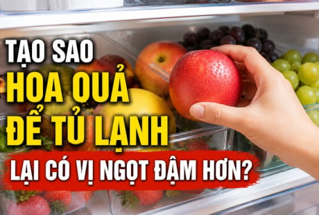 Tạo sao hoa quả để tủ lạnh lại có vị ngọt đậm hơn?