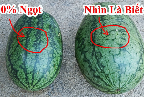Vì sao khi mua dưa hấu người ta hay vỗ vào thân vỏ?