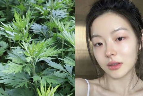 Cách dùng ngải cứu làm trắng da, giảm thâm nám hiệu quả