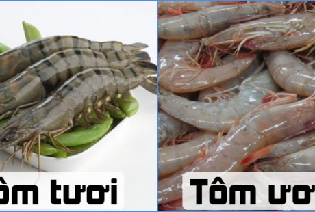 Chọn tôm cứ nhìn vào điểm này biết ngay con nào tươi con nào không nên mua phí tiền