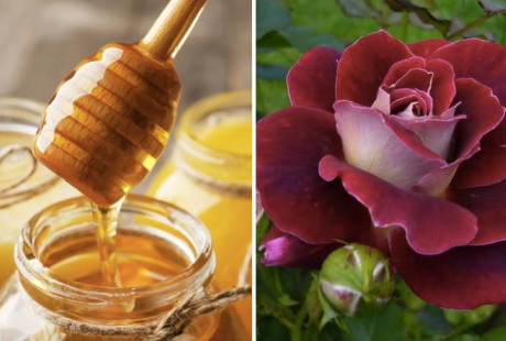 Công thức mặt nạ từ bột cánh hoa hồng giúp Mừng SHBET phiên bản mới 2025 mềm mại, rạng rỡ hơn