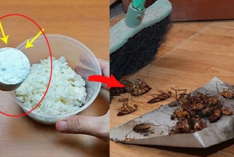 Vì sao nên trộn bột giặt với cơm nguội?