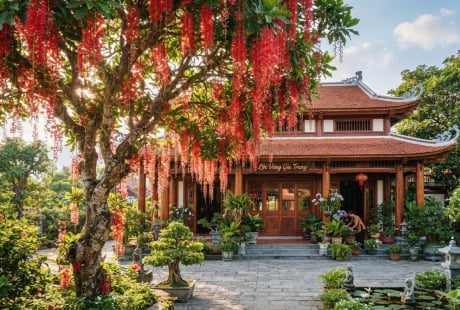 4 loại cây trồng cây càng xanh tươi người càng may mắn giàu có