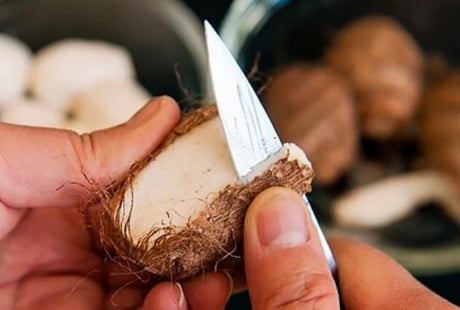 Cách gọt khoai sọ không ngứa tay